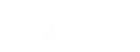 Fly Media